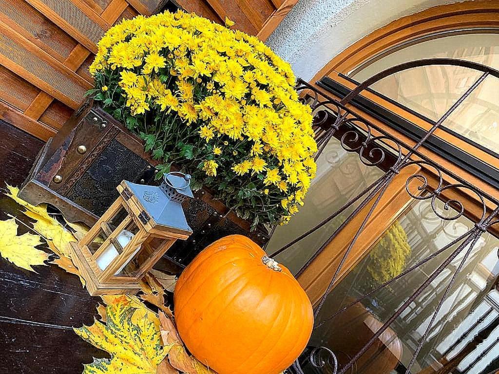 Beautiful Cracow Apartments By Cozyplace Cracóvia Exterior foto